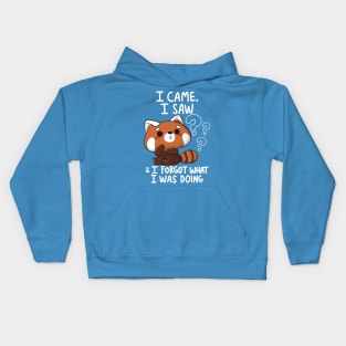 Forgetful Red Panda Kids Hoodie